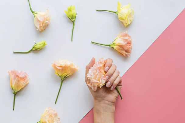 Stylish trendy female pink manicure. Beautiful young woman hands on pink pastel background with flowers and place for text. Minimal creative concept. Flat lay, top view, mock up, copy space, template - Foto, imagen