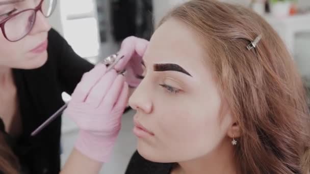 Professional makeup artist paints eyebrows to client with henna. - Кадры, видео