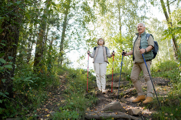 Щасливі активні літні люди насолоджуються пішохідною подорожжю в лісі, стоячи на пагорбі і дивлячись на природу
 - Фото, зображення