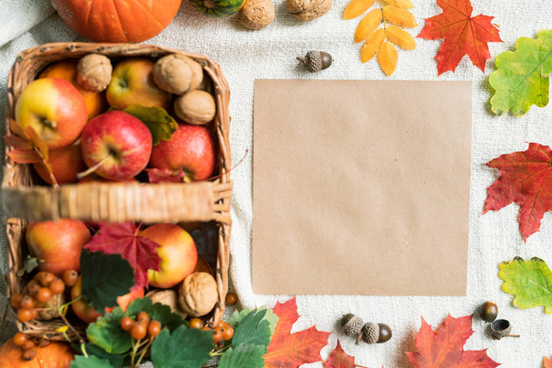 Top view of blank sheet of paper among autumn leaves, acorns, walnuts and ripe apples that can be used as background - Fotoğraf, Görsel