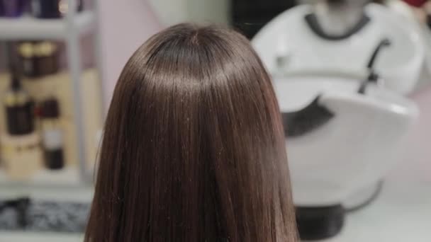 美容師は顧客にヘアスプレーを適用しています. - 映像、動画