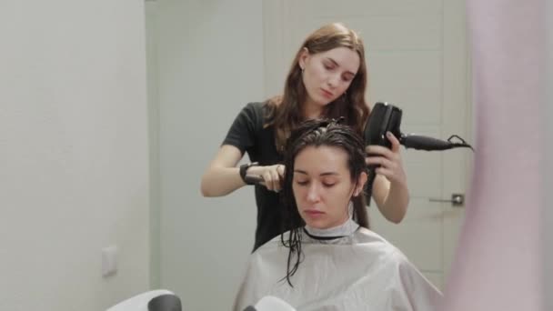 Lány fodrász szárítja haj ügyfél hajszárítóval a fodrásznál. - Felvétel, videó