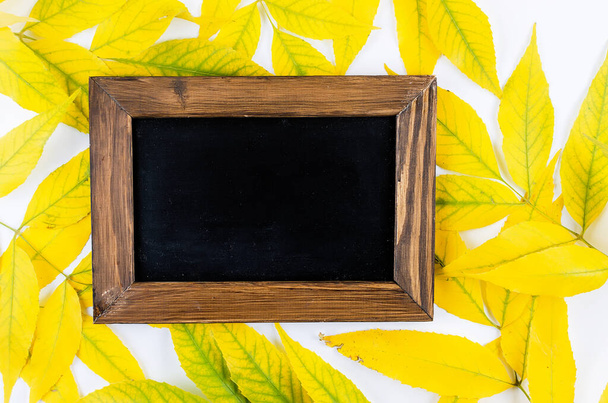 Black frame with yellow leaves on white background - Foto, imagen