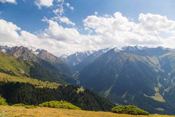 Paisaje de verano. Montañas nevadas y hierba verde. Pico Karakol Kirguistán
. - Foto, Imagen