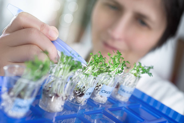 Female scientist or tech picks a cress sprout from a test jar - Photo, Image