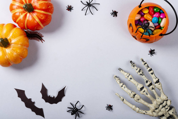 Halloween and decoration concept, Pumpkins, bats, skeleton arm and candies on gray background. - Φωτογραφία, εικόνα