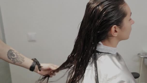 Κομμωτήριο κορίτσι χτένισμα βρεγμένα μαλλιά σε έναν πελάτη. - Πλάνα, βίντεο