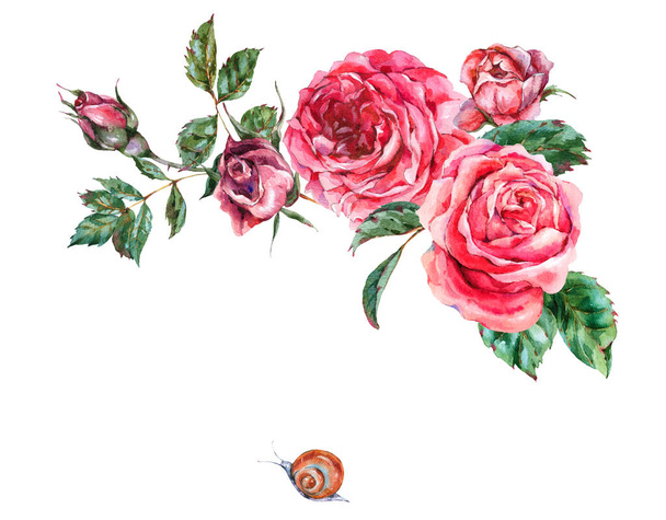 Dekoracyjne vintage akwarela czerwone róże, Natura kartka z życzeniami wi - Zdjęcie, obraz