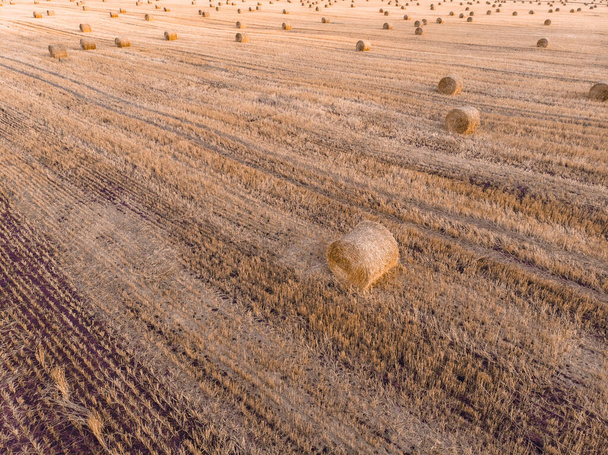 Hava manzaralı günbatımı tarlası sonbahar hasat zamanı - Fotoğraf, Görsel