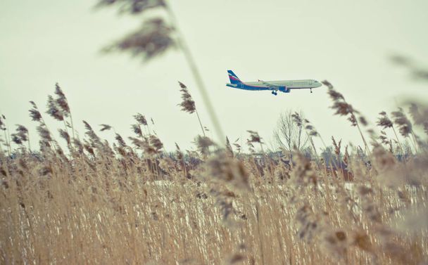 avión de aterrizaje tomado de un campo con hierbas de finales de otoño
 - Foto, imagen