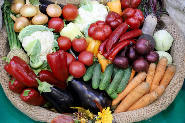 Различные свежие собранные овощи
  - Фото, изображение