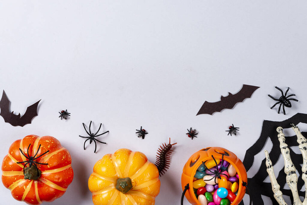 Halloween ja koristelu käsite, kurpitsat, web, lepakot, hämähäkit, tuhatjalkainen ja kärpäset harmaalla taustalla
. - Valokuva, kuva
