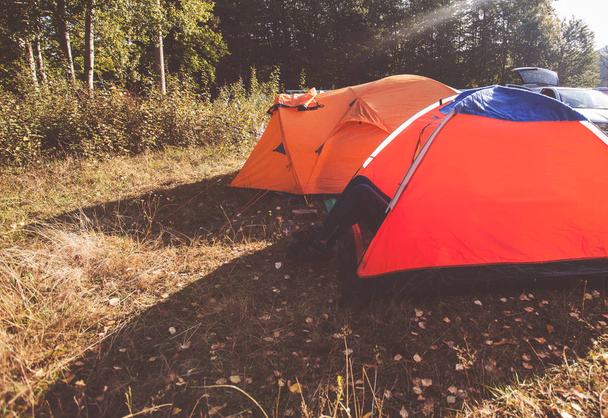 Táborové stany v kempu u lesa na podzim ráno slunečné denní světlo - Fotografie, Obrázek