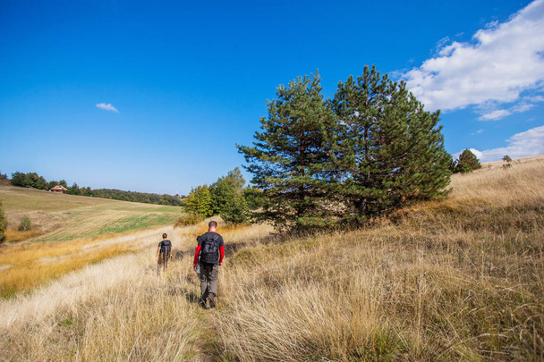 Rear view of unrecognizable people with backpack hiking in the nature - Fotoğraf, Görsel
