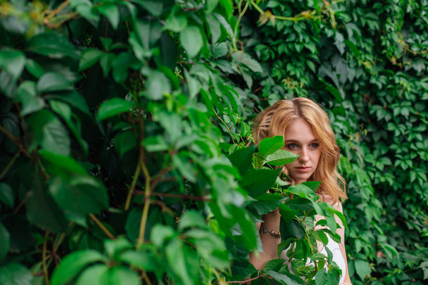 Portrait of a young beautiful woman, standing next to the wall of wild grape leaves. - Valokuva, kuva