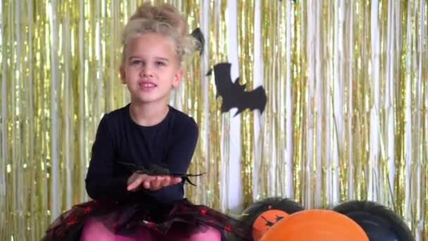 dívka čarodějnice hrát s pavouk hračka na dýni. Halloween párty dárek nebo trik. 4k - Záběry, video
