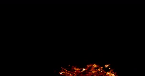 スチールウール燃焼 - 映像、動画