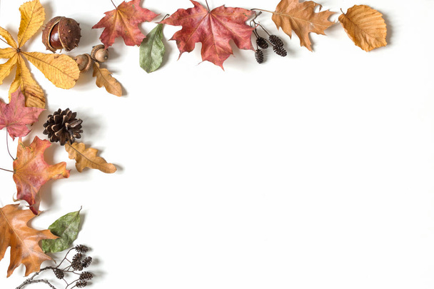 Autumn composition with colorful dry leaves on white background. Flat lay, top view, copy space. - 写真・画像