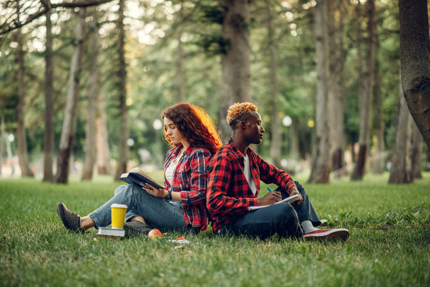 Students with book sitting on the grass with their backs to each other, summer park. Male and female teenagers studying outdoors and having lunch - Фото, зображення