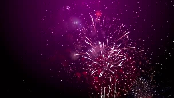 Año Nuevo fuegos artificiales fondo púrpura
 - Metraje, vídeo
