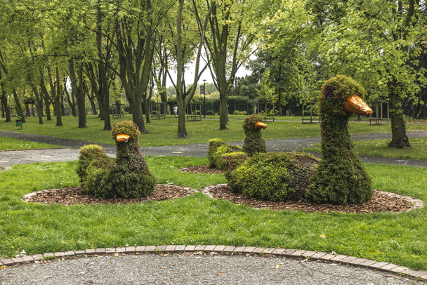 Ducks on the lawn made of wire and planted plants. Silesian Park - 写真・画像