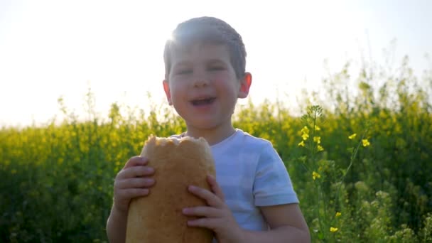 garçon manger du pain dans le parc à l'extérieur, enfant heureux affamé mange de la nourriture sur la prairie dans le contre-jour, jeune avec pain pain à la main
 - Séquence, vidéo