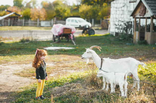 Klein meisje met rood haar spelen met witte geit. - Foto, afbeelding