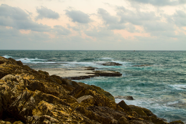 Jaffa brzeg 2013 - Zdjęcie, obraz