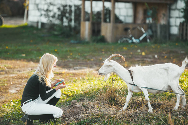 Блондинка з щіткою для волосся грає з білою козою
. - Фото, зображення