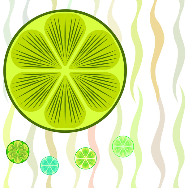 Green half and slice lime. Vector illustration, background. - Vettoriali, immagini