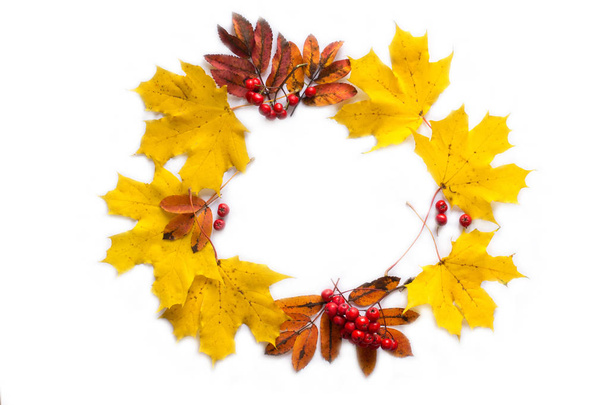 Autumn composition. Wreath made of dried leaves, berries on white background. Autumn, fall, thanksgiving day concept. Flat lay, top view, copy space - Photo, Image
