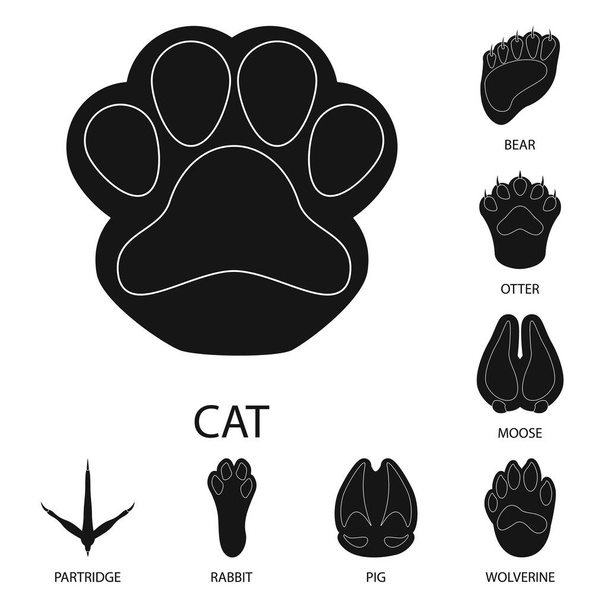 Vector design of feet and fauna sign. Set of feet and print vector icon for stock. - Vector, Image