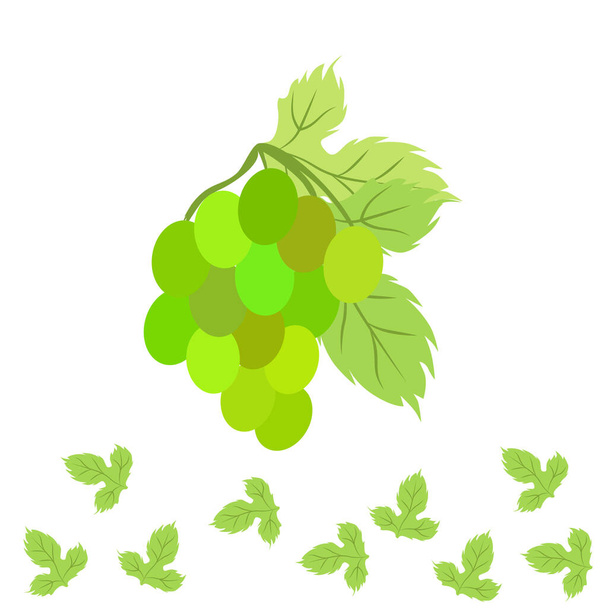 Grape with leaf. Vector elements for design - Vector, afbeelding