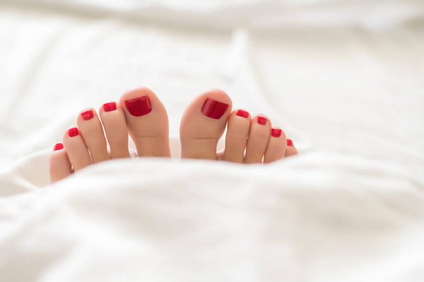 female fingers with red pedicure in bed from under the white covers Close-up of covered female feet with red pedicure - Foto, Bild
