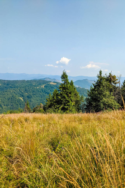 Карпатские горы в осенний сезон в солнечный день
 - Фото, изображение