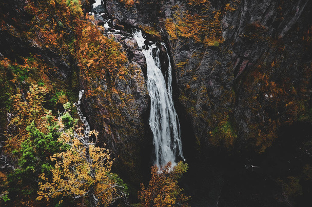Belo parque nacional norvegiano no outono
. - Foto, Imagem