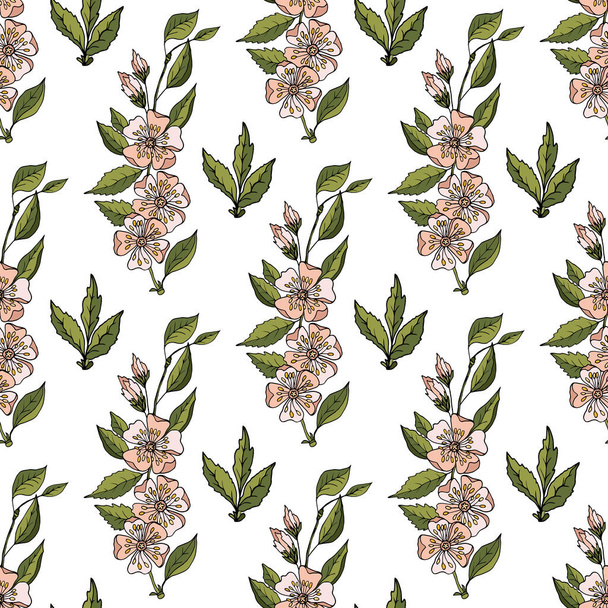 Seamless background with apple flowers and leaves on white. - Vector, Image