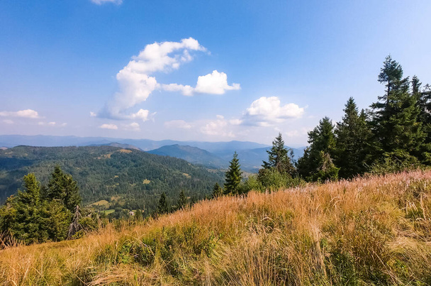 Carpathian Mountains landscape in the autumn season in the sunny day - Photo, image