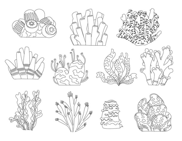 Sarja sarjakuva vedenalaisia kasveja ja olentoja värityskirja sivu. Vektorieristetyt korallit ja levät
. - Vektori, kuva