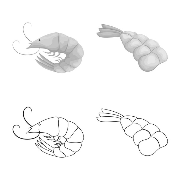 Vector illustration of appetizer and ocean symbol. Set of appetizer and delicacy stock vector illustration. - Vektor, obrázek