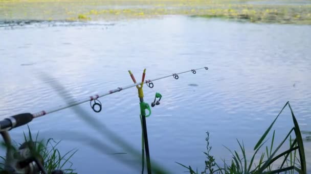 Fishing rod on the lake in summer day. Professional fishing rod waiting for bites on water river - Materiaali, video