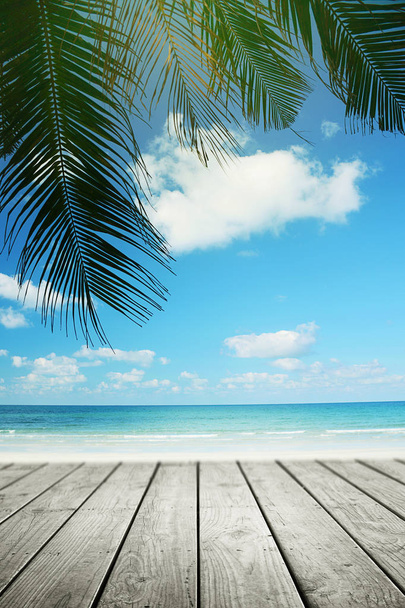 Tropical beach background with palm tree and empty wooden, Summer. - Photo, Image
