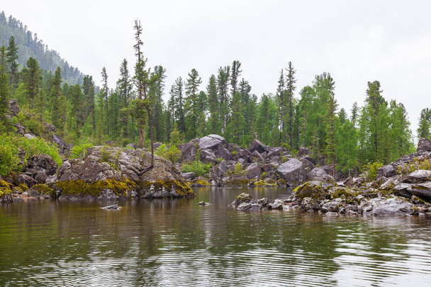 Kamienny brzeg jeziora z potoku na jeziorze Teletskoye w t - Zdjęcie, obraz