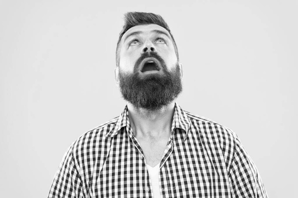 Wondering every time. Guy surprised face expression. Hipster emotional surprised expression. Rustic surprised macho. Surprising news. Man bearded hipster wondering face yellow background close up - 写真・画像