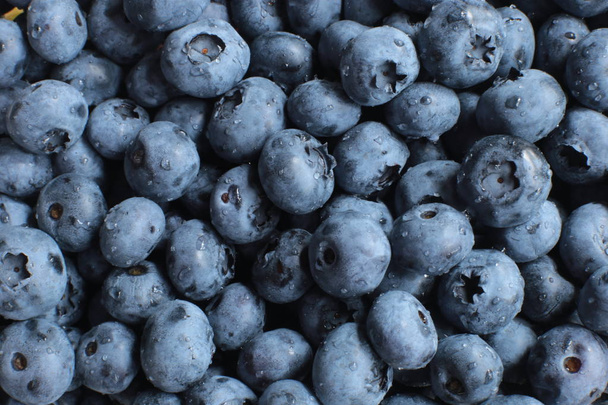Macro photo of juicy ripe berries blueberry - Photo, Image