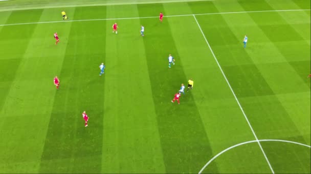 大規模なフィールドでサッカー選手の空中ビュー。無人機による - 映像、動画