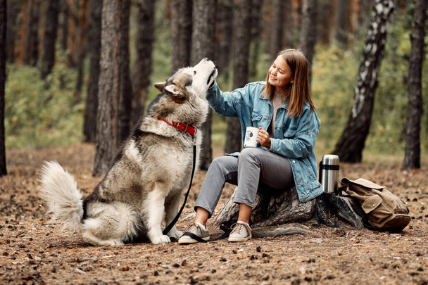Young Girl with her Dog, Alaskan Malamute, Outdoor at Autumn. Domestic pet - Fotó, kép