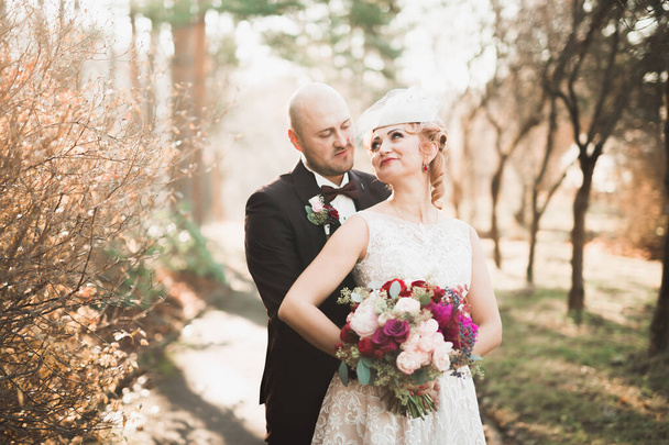 Parkta kucaklaşan yeni evli çiftin güzel romantik düğünü. - Fotoğraf, Görsel