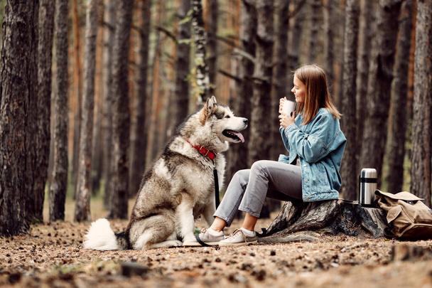 Young Girl with her Dog, Alaskan Malamute, Outdoor at Autumn. Domestic pet - Fotó, kép