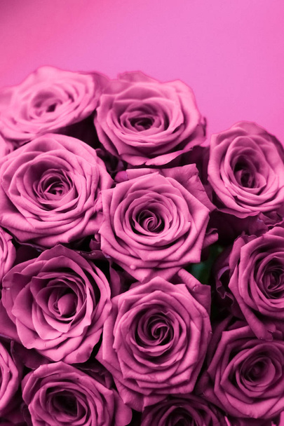 Luxury bouquet of purple roses, flowers in bloom as floral holid - Photo, Image